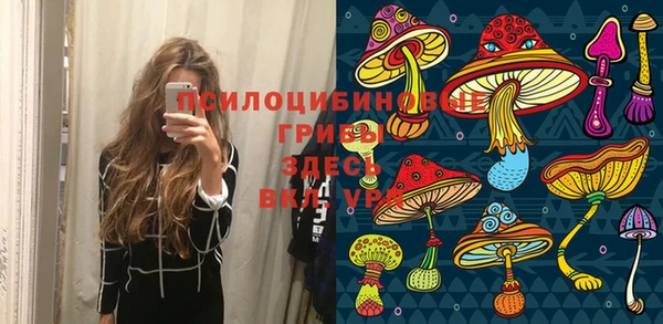 молекула духа Белая Холуница