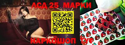 шишки Бузулук