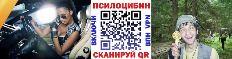 KRAKEN ССЫЛКА  Гагарин  Галлюциногенные грибы Magic Shrooms 
