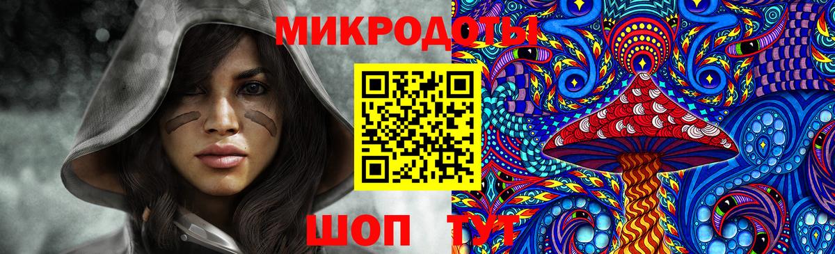 Псилоцибиновые грибы Cubensis Гагарин