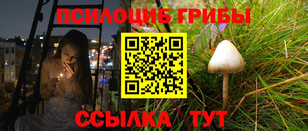 Псилоцибиновые грибы Psilocybe  Вход с VPN  Гагарин 