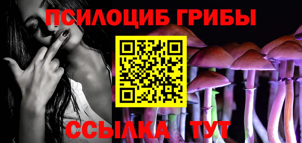 продажа наркотиков  Гагарин  Галлюциногенные грибы Magic Shrooms  Псилоцибиновые грибы Magic Shrooms 